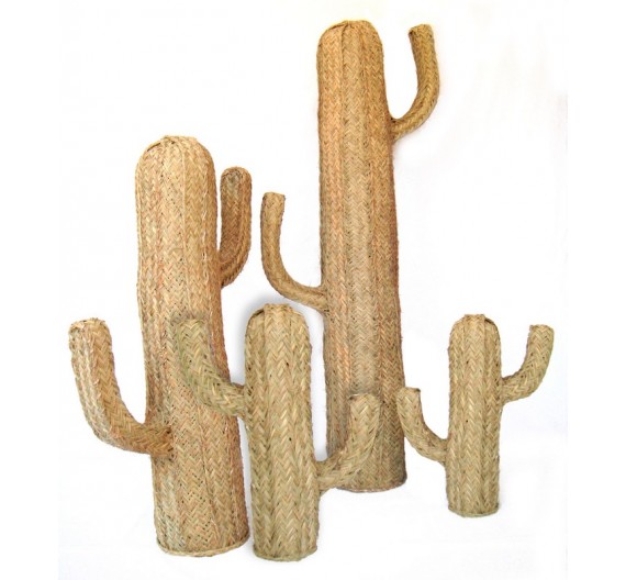 Cactus de Esparto
