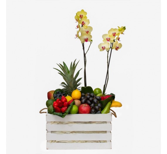 Caja de fruta tropical