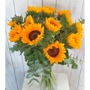 Girasoles