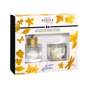 Mini duo transparente