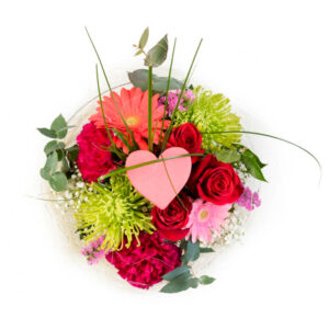 Nido de amor