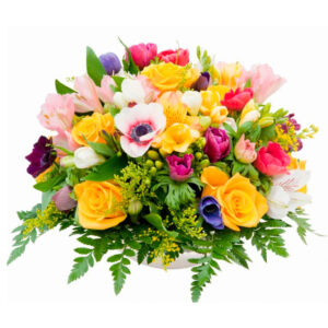 Primavera