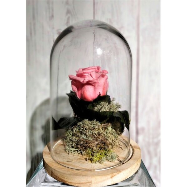 Rosa eterna en Cúpula - Imagen 3